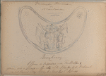 Ringtraug [?] van Offcier der Infanterie van Prins Willem V [...]  1785