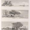 1. Vue de Zaòuyéh; 2. Arbre au quel on fait des offrandes; 3. Jardin de l'Institut du Caire.