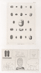 Antiquités Egyptiennes.