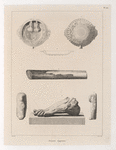 Antiquités Egyptiennes.