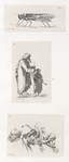[1. La sauterelle du désert, la plaie de l'Egypte. 2. Vieillard aveugle conduit par un enfant. 3. Tête d'un mendiant du Caire; Trois croisés de la Mekke.]