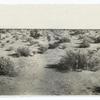 Yum the mesa unreclaimed, Ariz., 1920