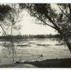 The Ludy Canal at the crossing of the Farmer's Canal, 7½ miles southwest of Yuma, Ariz., 1905