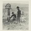Graves on the Custer battlefield