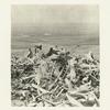 Bones gathered from the battlefield of Big Horn