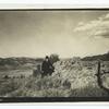 Prehistoric remains of irrigation ditch on Dr. Johnson's ranch near White Mountain Inn, N.M.
