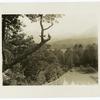 View from Camp Kent, Arnolds Valley