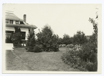 View of flora in front yard of home