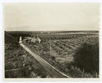 Main canal & panorama of reclaimed land on the Okanogan project, Washington.