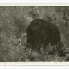 Remains of hammer block used by John Deere at his blacksmith shop in Grand Detour, Ill.