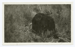 Remains of hammer block used by John Deere at his blacksmith shop in Grand Detour, Ill.