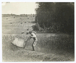 Man harvesting with a cradle