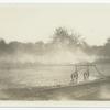Sprinkler system in field