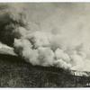 Burning the forest
