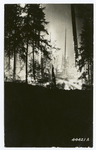 Burning the forest.