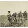 Farmer on horse drawn tractor