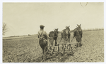 Farmer on horse drawn tractor