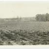 Farmland