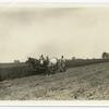 Man on horse drawn tractor