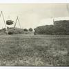Baleing hay