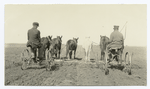 Horse drawn tractors, rear view