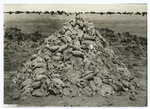 Result of poisoning operations by assistants of the Biological Survey in Ariz. On 320 acres 1,641 prairie dogs were collected after one night's operations. Total [cost] of extermination including labor $9.79.