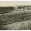 Farm