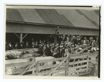 Farmers visiting experimental feed lots (Agricultural Experiment Station, Purdue University, La Fayette, Indiana).