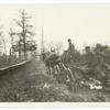 Horse drawn cart in muddy road
