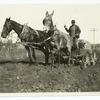 Horse drawn cart on a muddy road