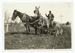 Horse drawn cart on a muddy road