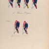 Oranje Nassau 1 Regiment, von Brakel,  van Wartensleben, des Villattes; 1-o Halve Brigade: Grenadier, Fusilier. 1795
