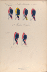 Oranje Nassau 1 Regiment, von Brakel,  van Wartensleben, des Villattes; 1-o Halve Brigade: Grenadier, Fusilier. 1795