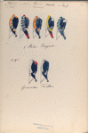 [..] Oranje Nassau 1 Reg., van Wilche, Hessen Darmstadt, Werkerloo [?], van Dorft.; 3 Halve Brigade: Grenadier, Fusilier. 1795
