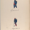 Generaal, Adjudant Generaal. 1795