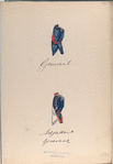 Generaal, Adjudant Generaal. 1795