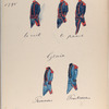Artillerie: te voet, te paard.; Genie: Pionniers, Pontonniers. 1795