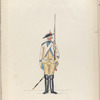 Cavalerie Regiment Orange Friesland. 1795