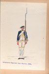 Infanterie Regiment Geel Munster. 1793-1795