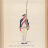 Vereenigde Province de Nederland, Infanterie Regiment Orange Friesland