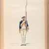 Vereenigde Province de Nederland, Infanterie Regiment No.14 Hessen Darmstadt