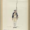 Vereenigde Province de Nederland, Infanterie Regiment No.19 Douglas Mariniers