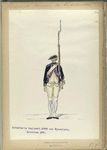 Vereenigde Province de Nederland, Infanterie Regiment No.22 von Nywenheim, Schotten No.1