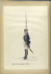 Waalsche Dragonder. 1769-1795