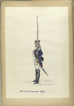 Waalsche Dragonder. 1772-1795