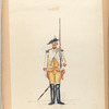 5-o Reg. Ruitery Stavenisse Pons.  1770-1795