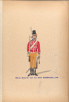 Korps Huzaren van der Hoop Timmermans. 1789-1795