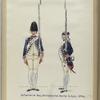 Infanterie Regiment Zwitsersche Garde  R. Z. G. 1774-1795