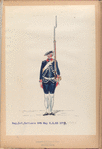 Reg. Inf. Zwitsers No.5 May R. Z. N5. 1773-1795