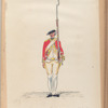 Inf. Reg. Schotten Stuart  R. S. N3. 1781-1795